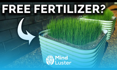 Don t Leave Your Raised Beds Empty Do This Instead