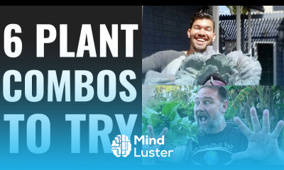 6 Plant Combos To Try In Your Raised Beds