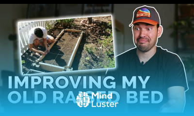 Gardener Reacts To His First Raised Bed Design