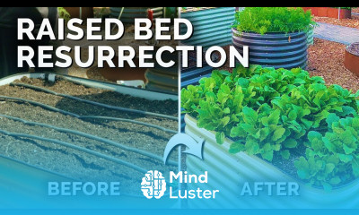 How to Bring a Dead Garden Back to Life