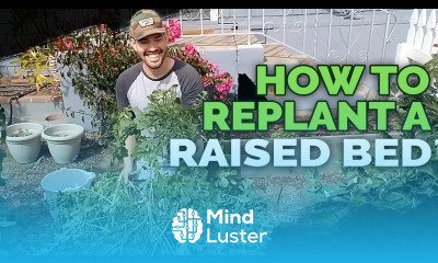 How to Replant and Prepare Raised Beds For Spring