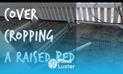 Soil Health Tips How to Plant Cover Crops in a Raised Bed