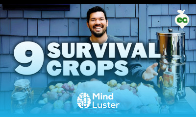 9 Survival Gardening Crops to Grow in a Post Apocalyptic World