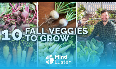 10 Veggies to Plant NOW for a Fall Harvest