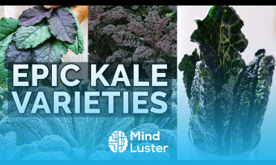 STOP Growing Boring Kale 10 Kale Varieties to Plant NOW