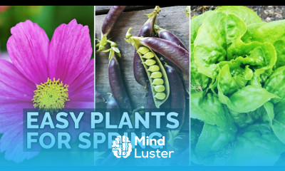 6 Easy Plants to Grow in Your Spring Garden  