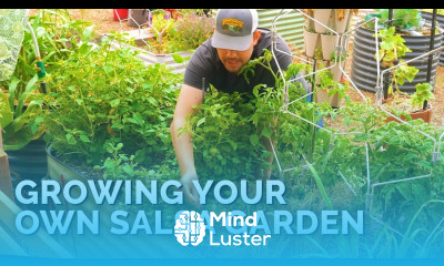 How to Grow Your Own Salsa  Raised Bed Planting Ideas