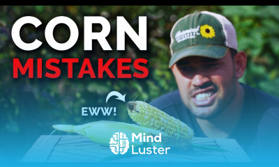 7 Corn Growing Mistakes to Avoid