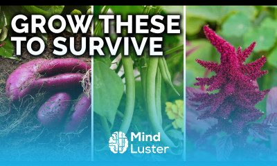 7 Survival Crops to Grow for MAXIMUM Calories