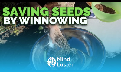 Saving Seeds Using the Ancient Winnowing Technique