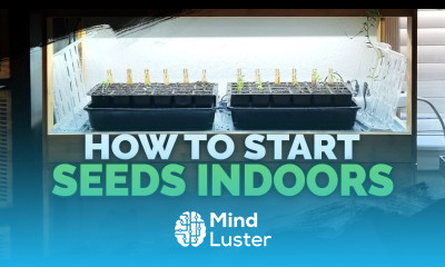 Seed Starting Indoors Under Grow Lights 101