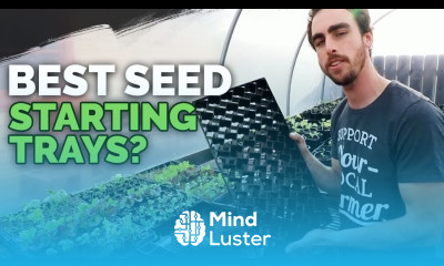 Best Seedling Trays Soil Blocks Winstrip and Plug Trays Compared