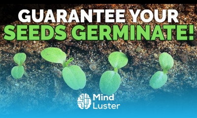 How to Guarantee Seed Germination With Math