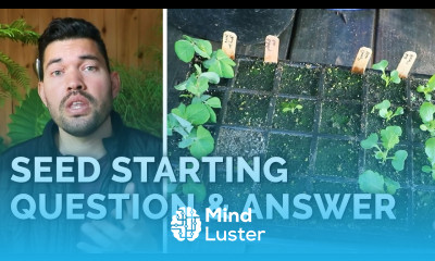 Answering 18 of Your Seed Starting Questions