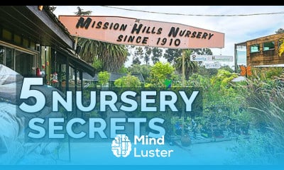 Get TWICE The Seedlings For The SAME Price 5 Nursery Secrets