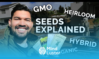 SEEDS EXPLAINED Heirloom Hybrid Organic and GMO Seeds 