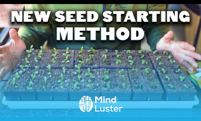 My NEW Favorite Seed Starting Method 