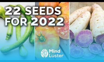 22 Seeds To Grow in 2022