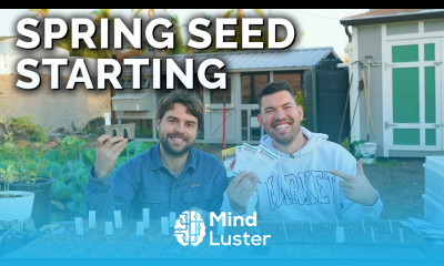 Start Seeds With Us Seedling Mixes Varieties and Special Tips