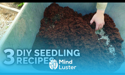 Make Your Own Seed Starting Mix
