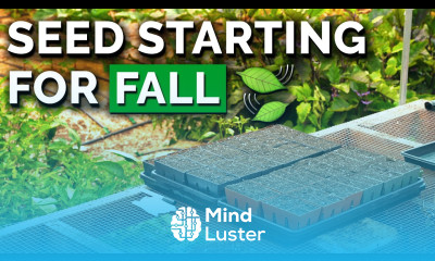 Start Seeds With Us Late Summer Fall Planting Ideas