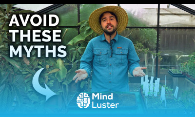 Don t Make THESE Seedling Mistakes