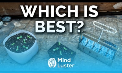 Which Seed Starting Method Is Best For YOU