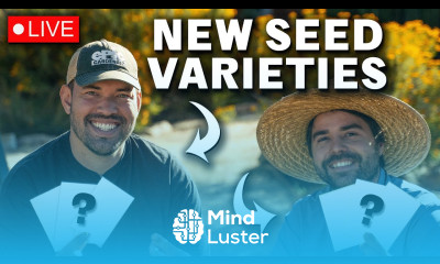 Revealing 35 NEW Seed Varieties For 2025 LIVE