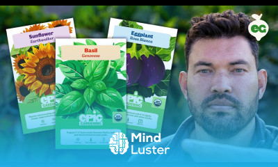 We Created A NEW Line of Seeds