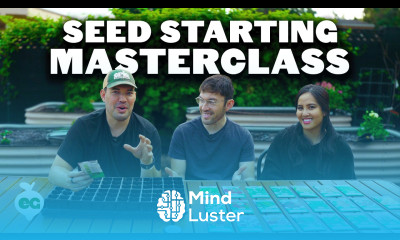 How To Start Your First Seeds COMPLETE GUIDE 