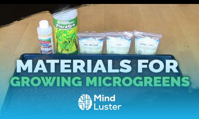 Microgreens Growing Materials and Beginner s Guide