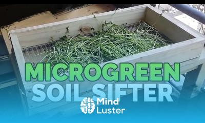 DIY Soil Sifter for Microgreens