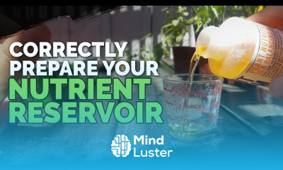 How to Prepare Water For Hydroponics Updated