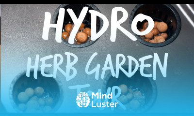 Building a Cheap Hydroponic Herb Garden