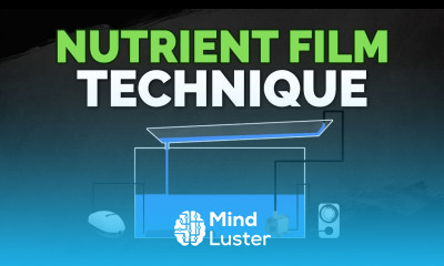 Nutrient Film Technique NFT Hydroponics System Tutorial