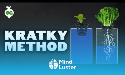 How to Set Up The Kratky Hydroponics Method Tutorial
