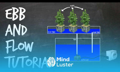 How to Set Up an Ebb and Flow DIY Hydroponics System Flood and Drain