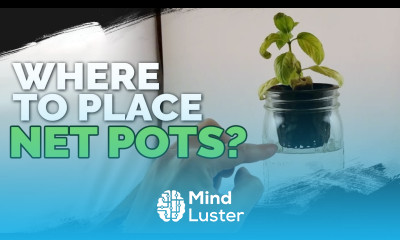 Where Should You Place Your Net Pots in a Deep Water Culture System