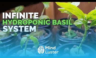 Hydroponic Basil Grow Basil Forever From 1 Plant