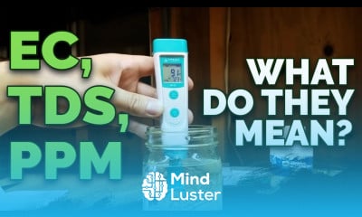 What are pH EC TDS and PPM and How Are They Connected