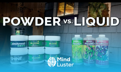 Dry vs Liquid Hydroponic Nutrients Pros and Cons