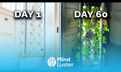 This Garden Grows Veggies Year Round Gardyn Review