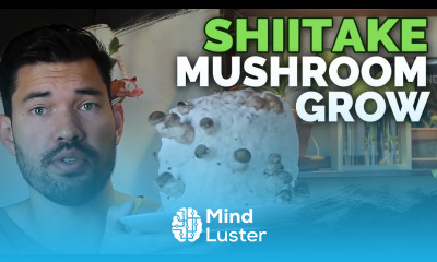 How to Grow Shiitake Mushrooms Recipe Included