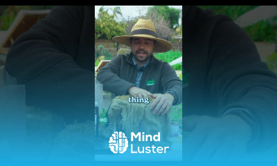 We grew mushrooms in buckets 