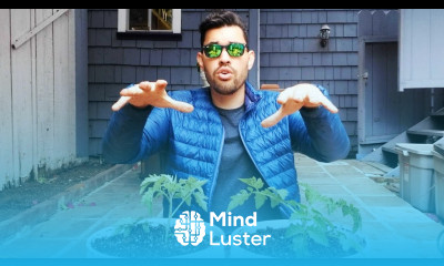 Biofertilizers Experiment Testing Earth Alive Soil Activator Part 2