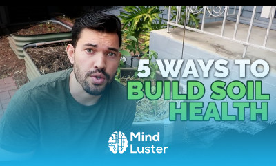 5 Easy Ways To Build Soil Health For FREE  
