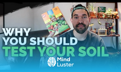 Why Soil Testing is So Important For Your Garden s Success