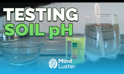 How to Test and Measure Your Soil pH at Home