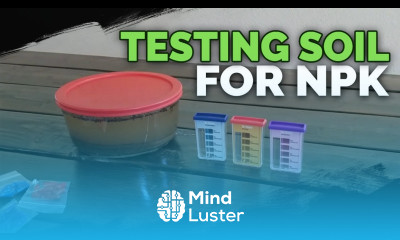 How to Test Your Soil for Nutrients