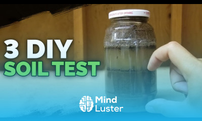 3 DIY Soil Tests You Can Do in Under 24 Hours